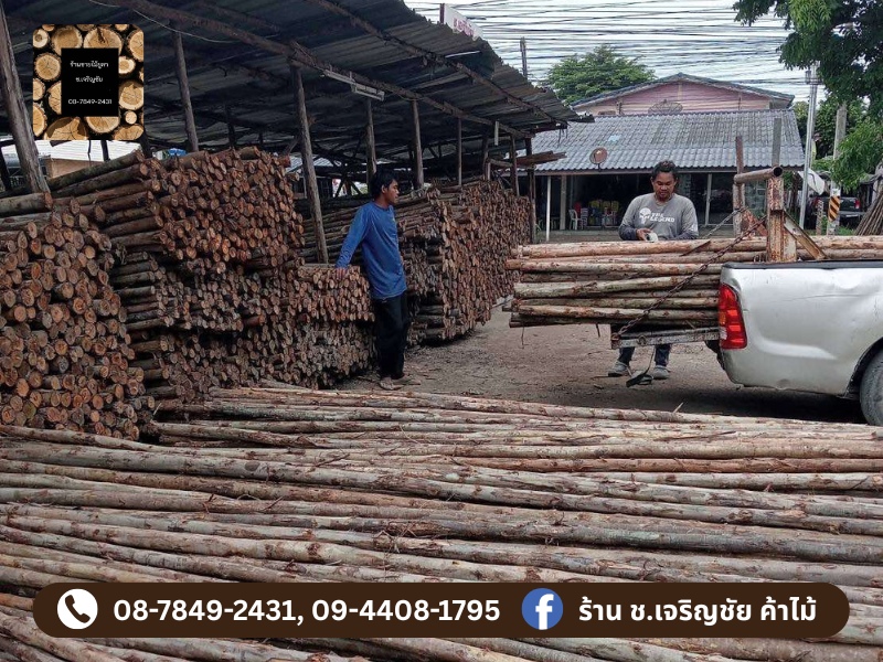 ร้านไม้ปลวกแดง