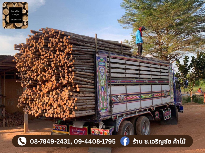 ไม้สร้างบ้านราคาถูกส่งด่วน ระยอง ไม้สร้างบ้านราคาถูกส่งด่วน ระยอง