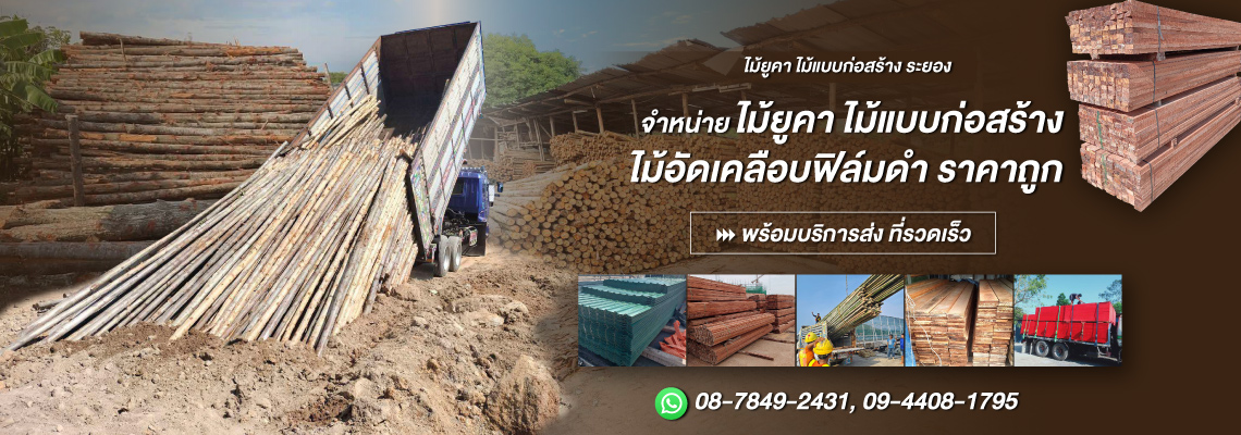 ไม้ยูคา-ไม้แบบก่อสร้าง-ระยอง-(193000)